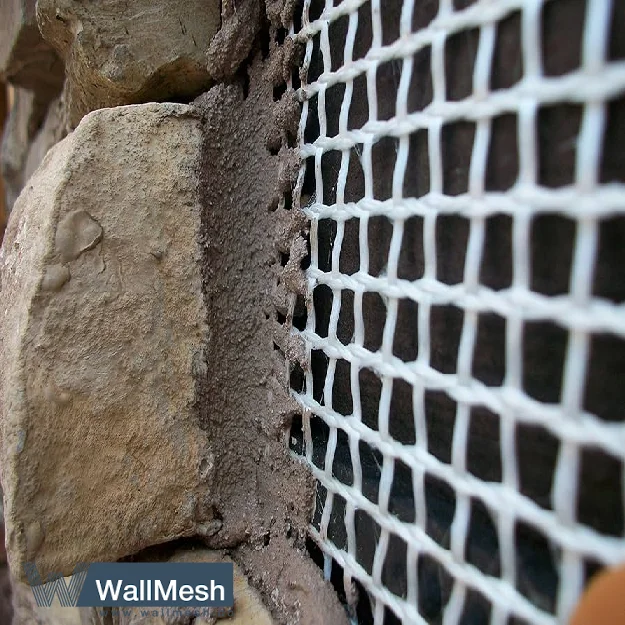 توری پشت سنگ