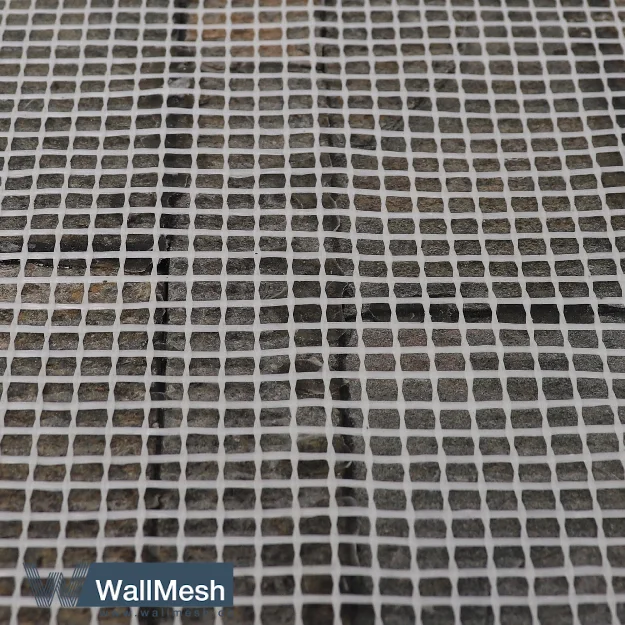 توری پشت سنگ